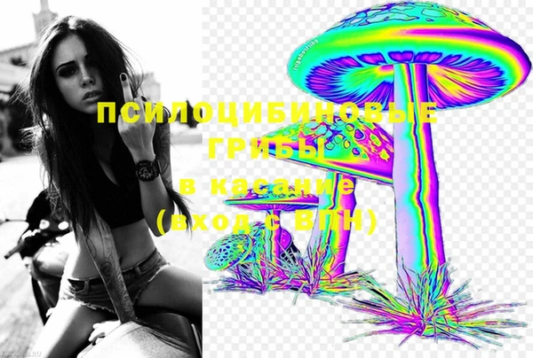 мдпв Пересвет