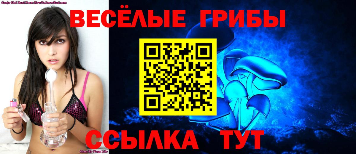 Псилоцибиновые грибы Magic Shrooms  Вход с VPN  Славянск-на-Кубани 