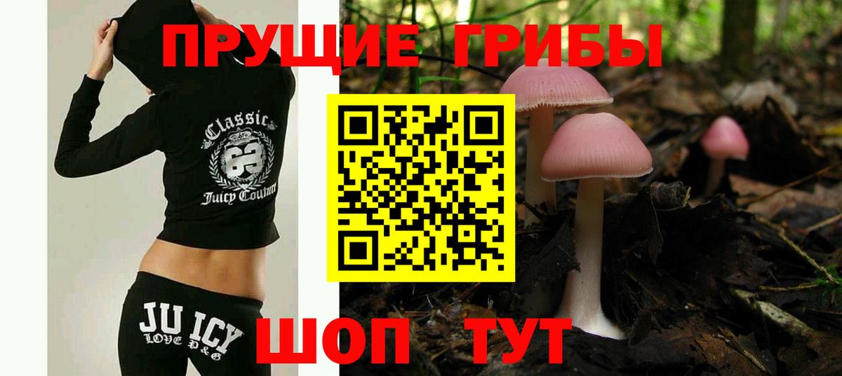 Галлюциногенные грибы ЛСД Славянск-на-Кубани