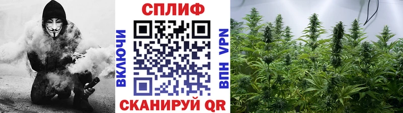 ОМГ ОМГ   купить  цена  Славянск-на-Кубани  МАРИХУАНА VHQ 